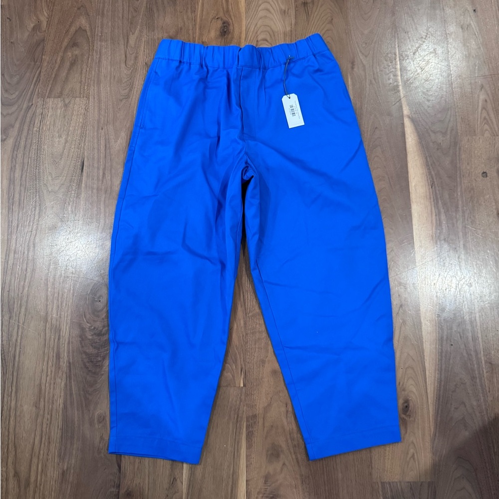 Nwt gathered cotton pants marine blue steven Alan